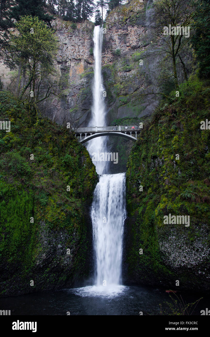 Cascate Multnomah lungo il fiume Columbia nel nord di Oregon Foto Stock