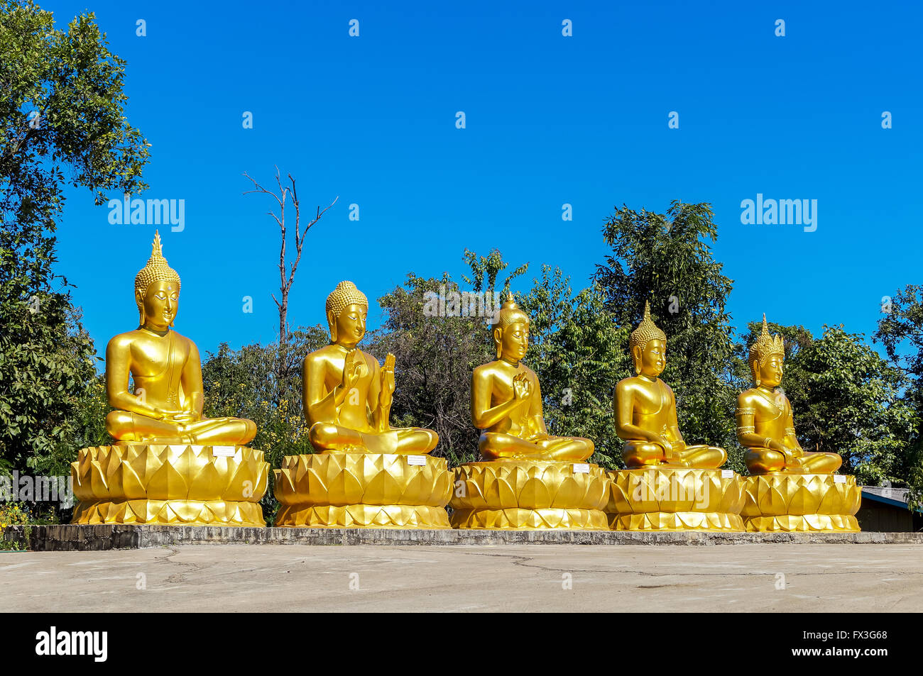 Cinque golden Buddha con diversi Mudra in una riga Foto Stock