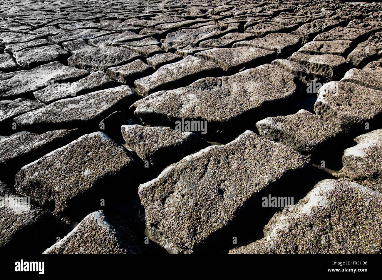 Onda formata marciapiede del Giurassico Lias calcare sulla foreshore del Glamorgan costa vicino Dunraven Bay South Wales UK Foto Stock