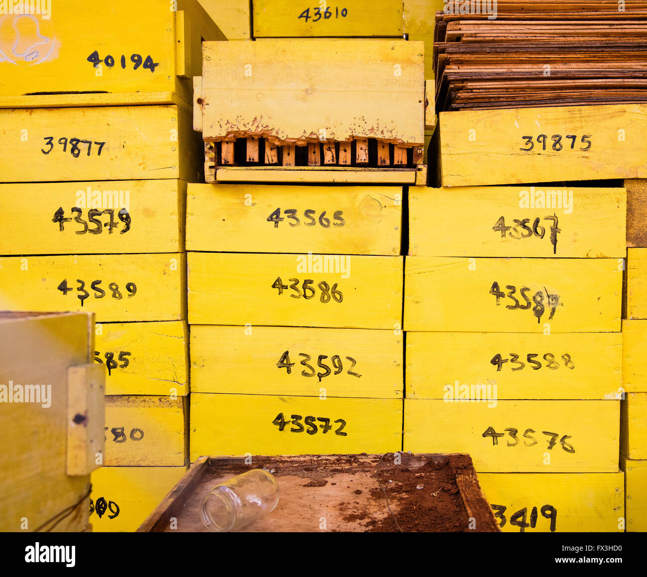 Numero codificato dipinte di giallo alveari utilizzati per rendere i recinti di alveare per dissuadere gli elefanti da incursioni di colture di fattoria nel sud del Kenya Foto Stock