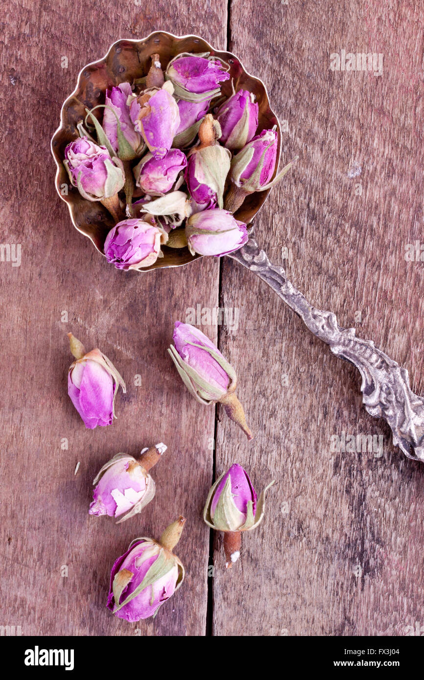 germogli di rose secchi Foto Stock