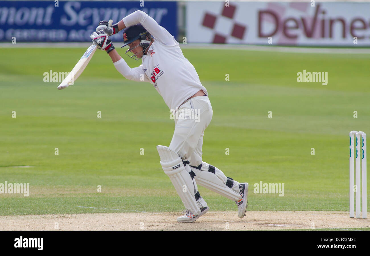 CHELMSFORD, Inghilterra - 11 Aprile 2016: Tom Westley di Essex durante la contea Specsavers gara di campionato tra Essex e Gloucestershire al County Ground a Chelmsford in Inghilterra. (Foto di Mitchell Gunn/ESPA-immagini) Foto Stock