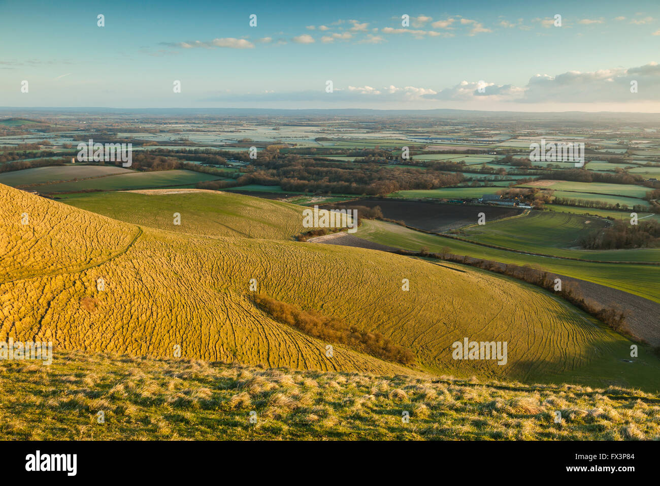 Mattina di primavera sulla South Downs, East Sussex, Inghilterra. Foto Stock