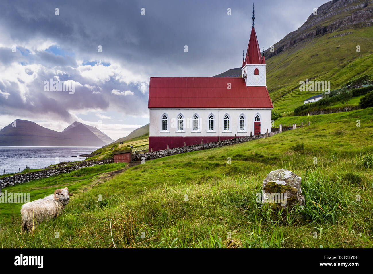 Chiesa Kalsoy nelle isole Faerøer pecore di Pentecoste Foto Stock