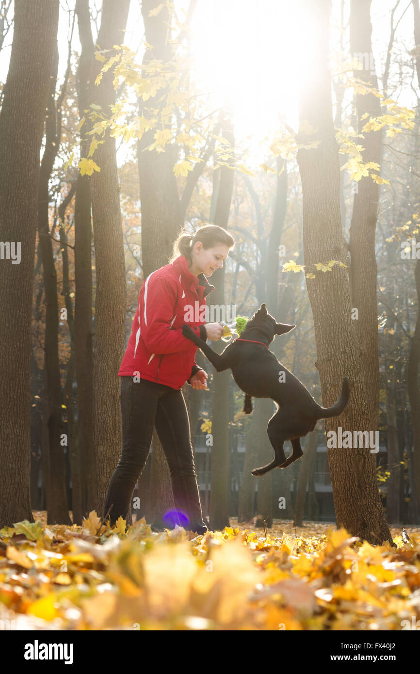 Giovane donna in autunno del parco treni shiny black dog. La donna indossa una camicia rossa. Il cane è il salto. Foto Stock
