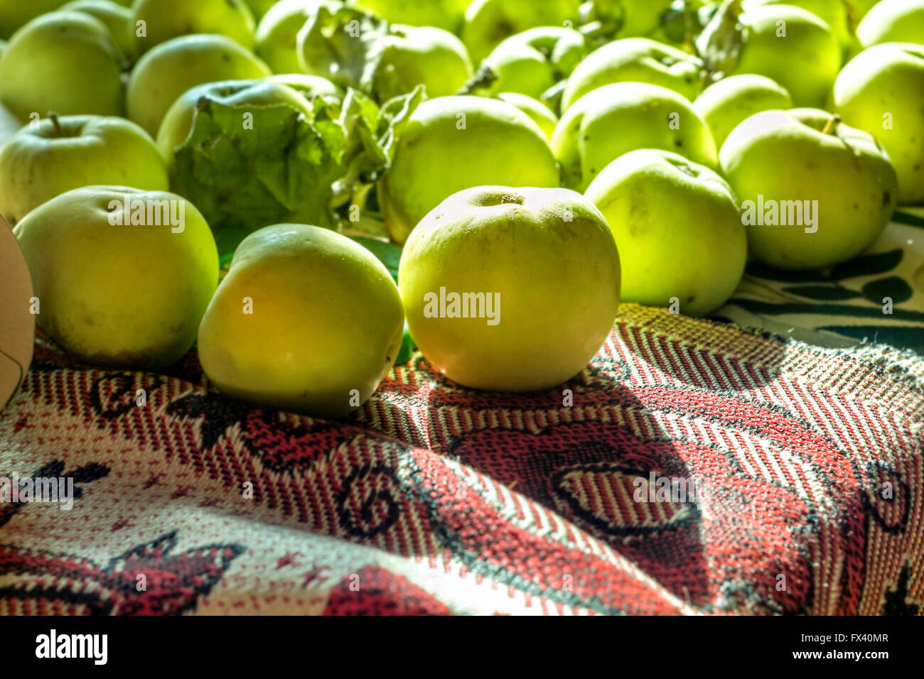 Bellezza antonovka verde le mele di raggi di sole Foto Stock