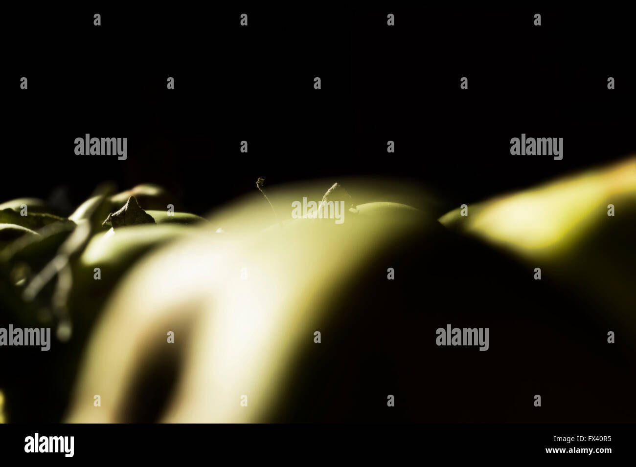 Fantasia di Apple su nero per design e idee Foto Stock