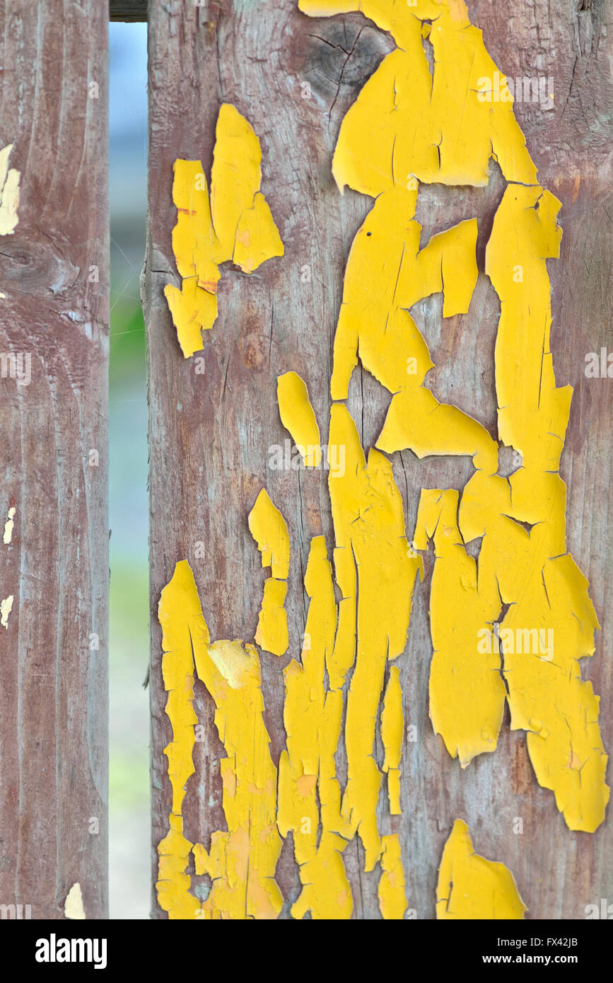 Vecchie tavole di legno con incrinato il colore giallo vernice Foto Stock