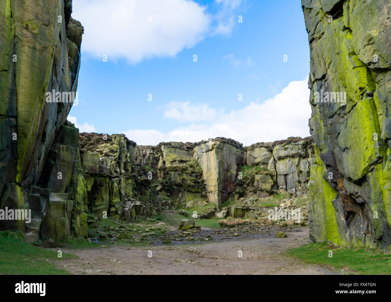 Rocce di arrampicata nei pressi della mucca e vitello all'interno di una vecchia cava a Ilkley Moor, West Yorkshire, Regno Unito. Foto Stock Rocce di arrampicata nei pressi della mucca e vitello all'interno di una vecchia cava a Ilkley Moor, West Yorkshire, Regno Unito. Foto Stock