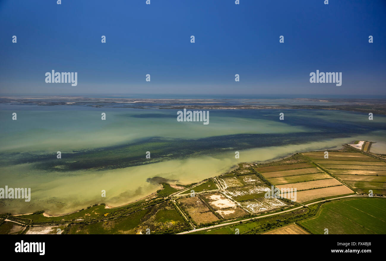 Vista aerea, Camargue, basso fondale isola in Camargue, Saintes-Maries-de-la-Mer, Francia, Provence-Alpes-Côte d'Azur, Foto Stock
