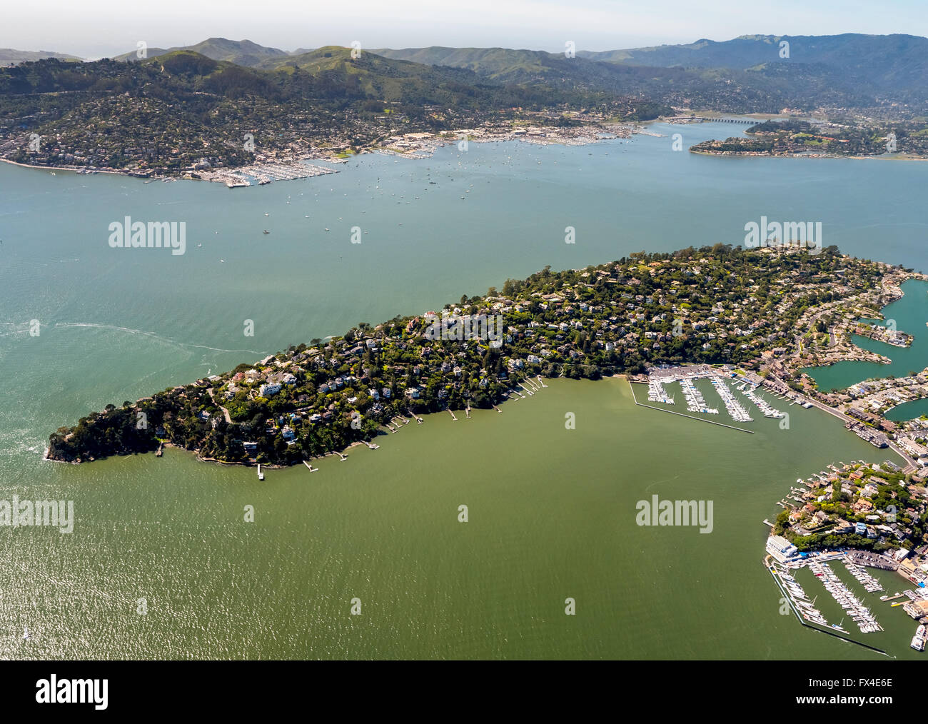 Vista aerea, Penisola Belvedere Tiburon, Area della Baia di San Francisco, Stati Uniti d'America, California, Stati Uniti d'America US, antenna, Foto Stock