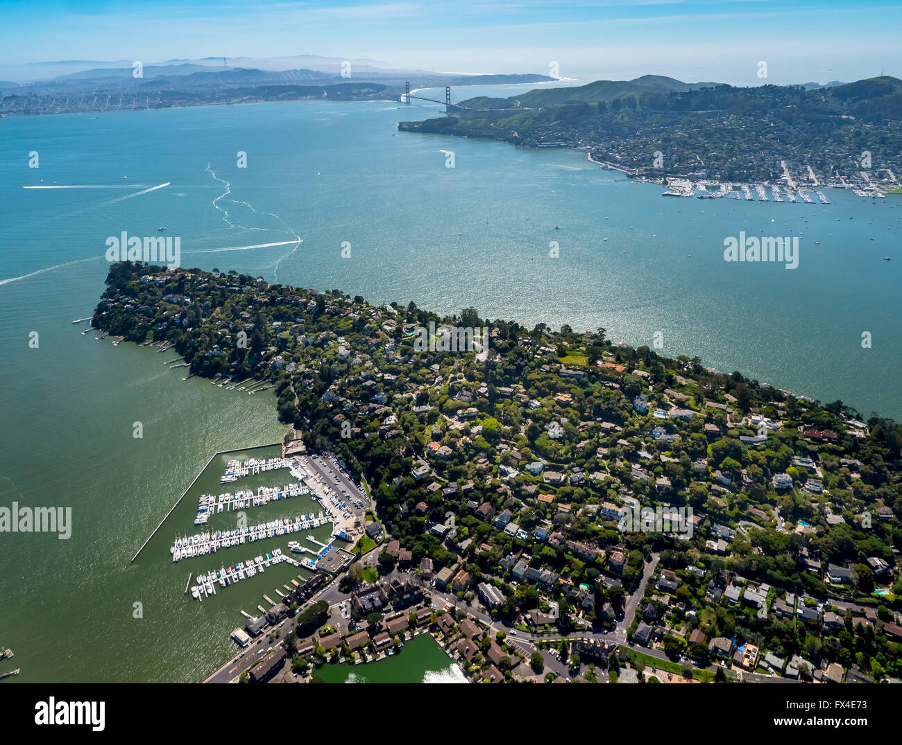 Vista aerea, Penisola Belvedere Tiburon, Area della Baia di San Francisco, Stati Uniti d'America, California, Stati Uniti d'America US, antenna, Foto Stock