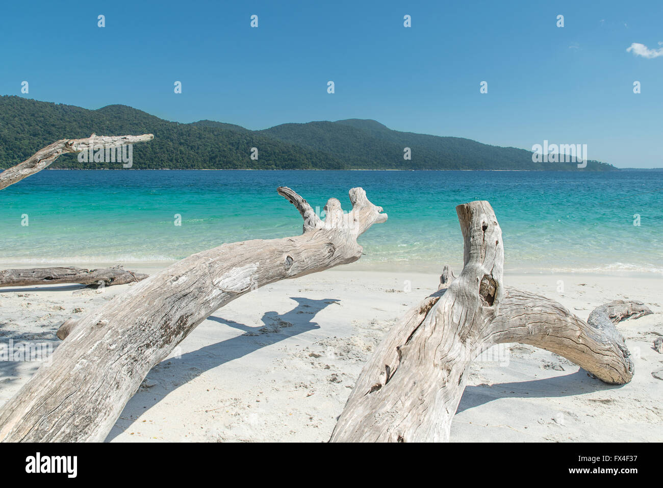 Estate, Viaggi, vacanze e concetto di vacanza - legno bianco sulla spiaggia vicino mare tropicale a Phuket, Tailandia Foto Stock