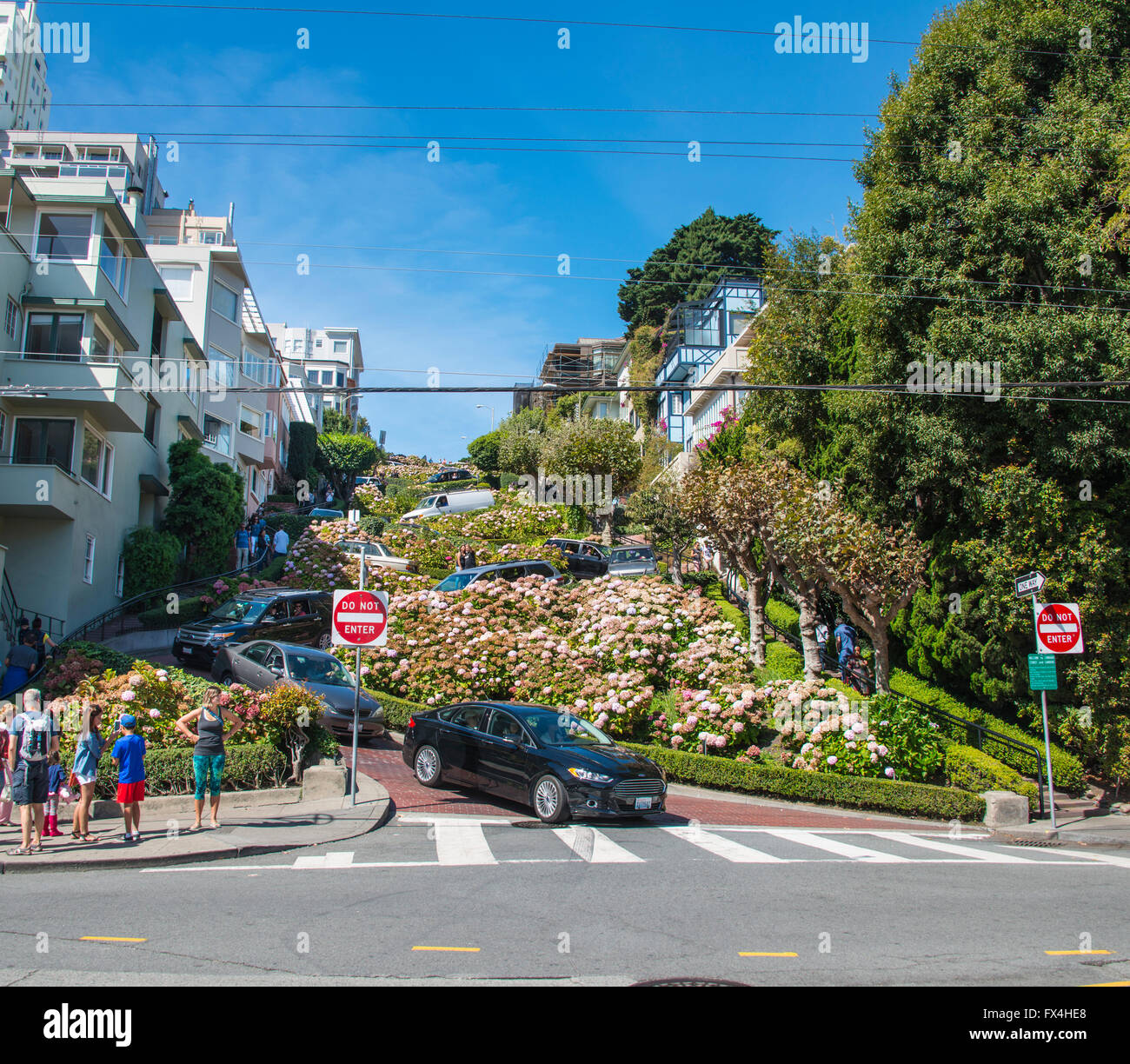 Le vetture si snodano in Lombard Street, San Francisco, California, Stati Uniti d'America Foto Stock