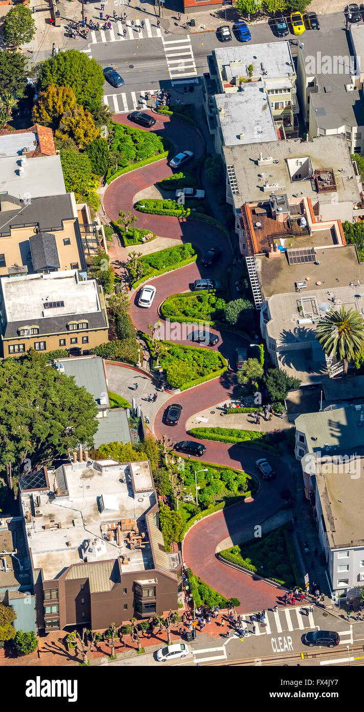 Vista aerea, Lombard Street, strada tortuosa, strada curva, le strade di San Francisco, attrazioni turistiche di San Francisco Bay Area, Foto Stock