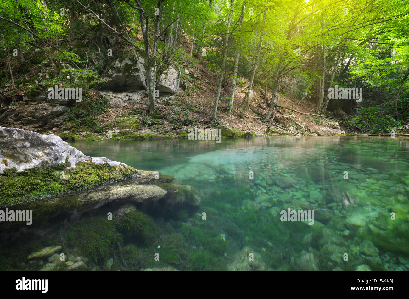 Fiume profondo in foreste di montagna. La natura della composizione. Foto Stock