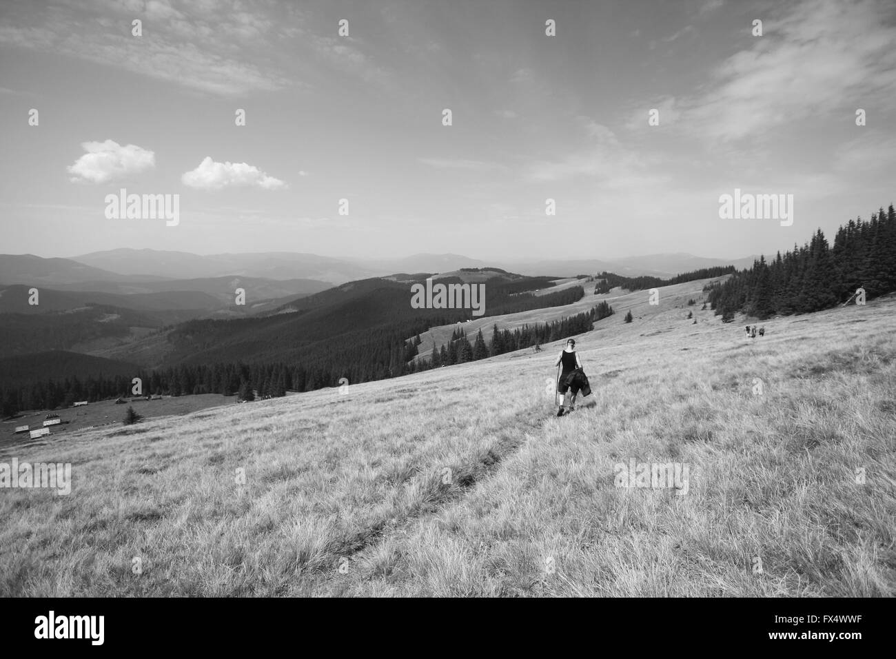 Aprile 11, 2016 - Carpazi, Ucraina - Carpazi (credito Immagine: © Nazar Gonchar via ZUMA filo) Foto Stock