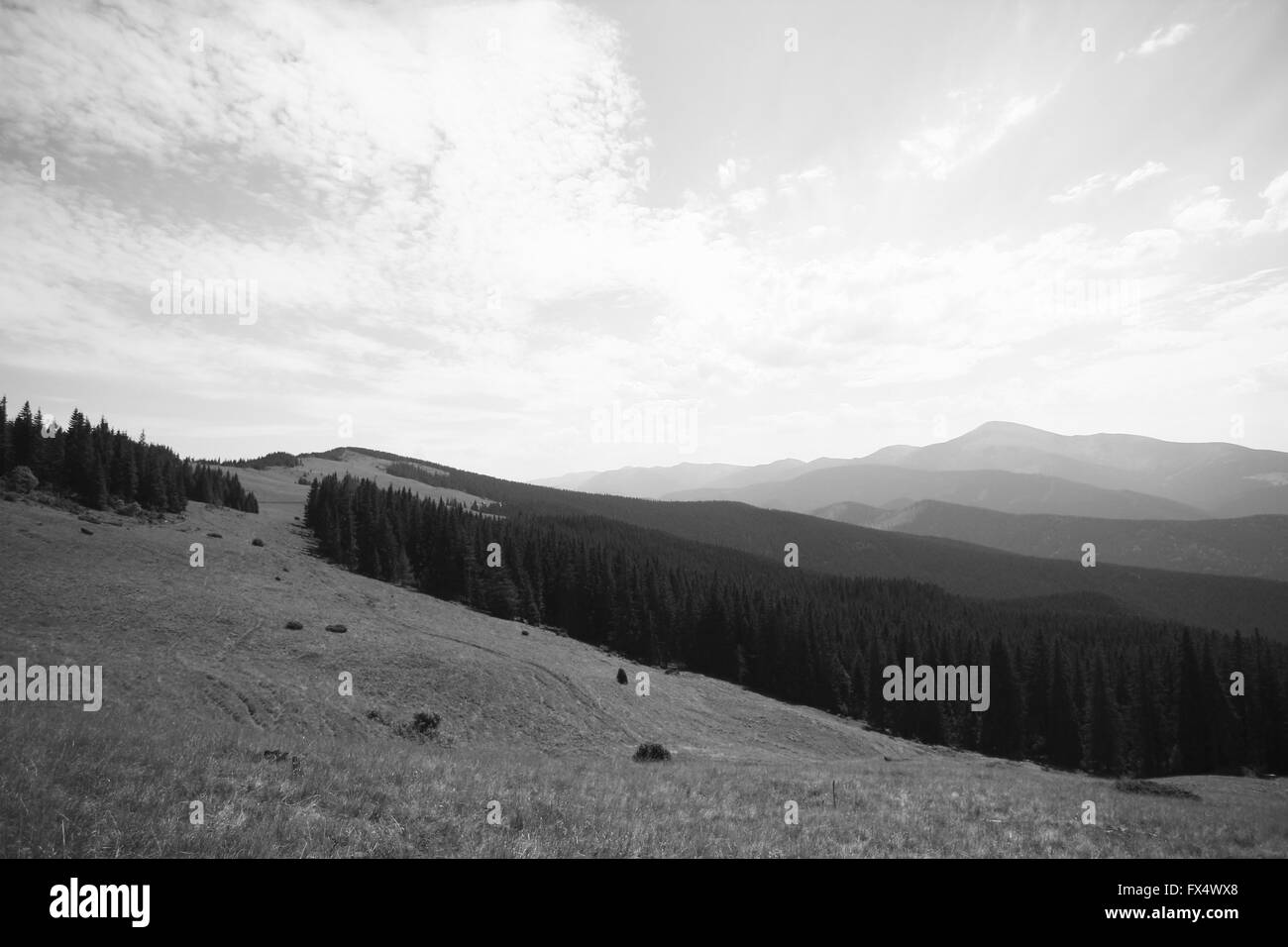 Aprile 11, 2016 - Carpazi, Ucraina - Carpazi (credito Immagine: © Nazar Gonchar via ZUMA filo) Foto Stock