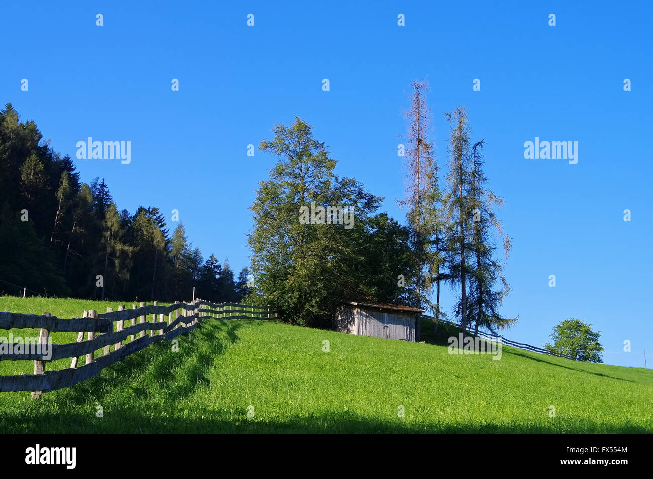 Almhütte in den Alpen - chalet nelle Alpi Europee, verde pascolo alpino Foto Stock
