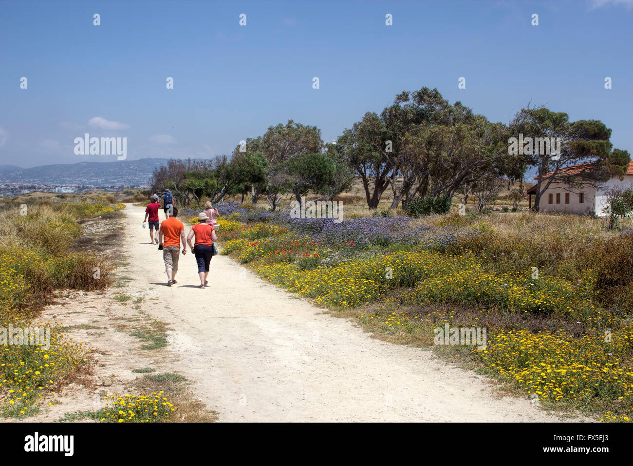 I visitatori a piedi attraverso Paphos parco archeologico. Un sito Patrimonio Mondiale dell'UNESCO Foto Stock
