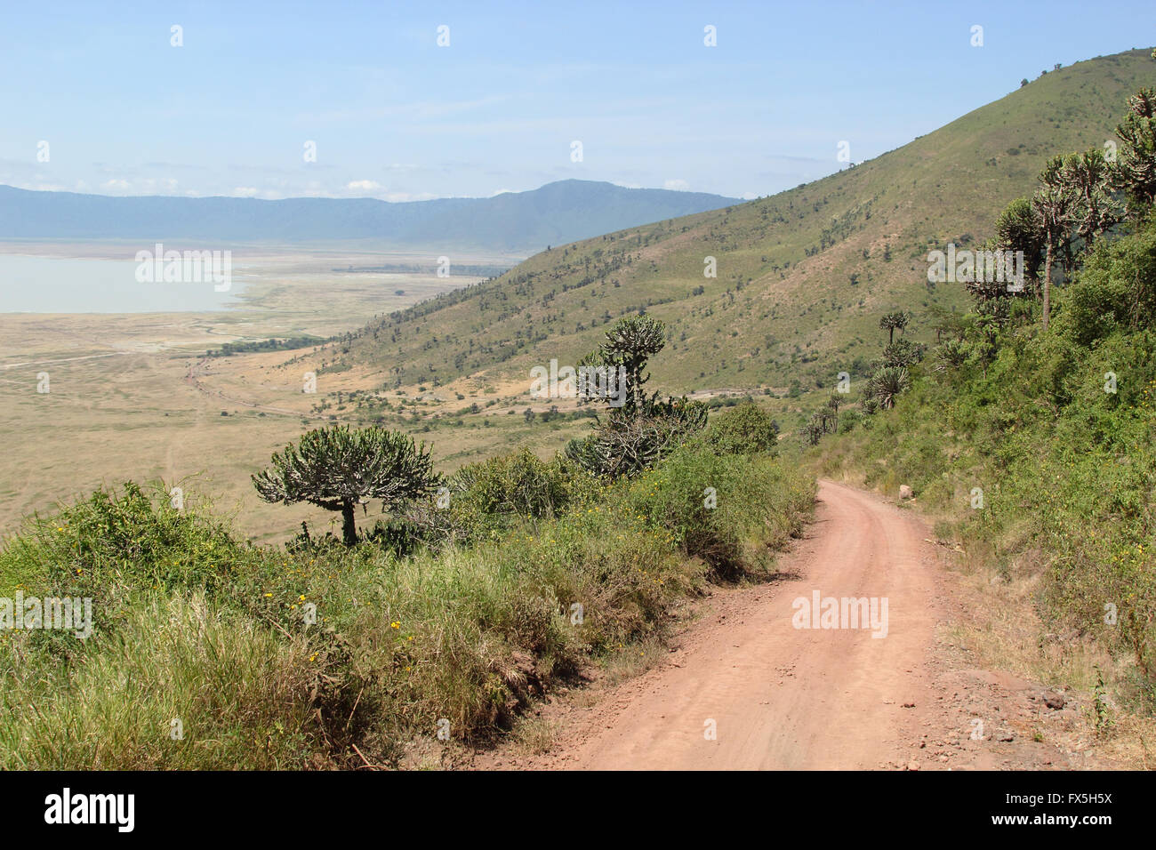 Infinite strada lungo il bordo del Ngorongoro Conservation Area, Tanzania Foto Stock