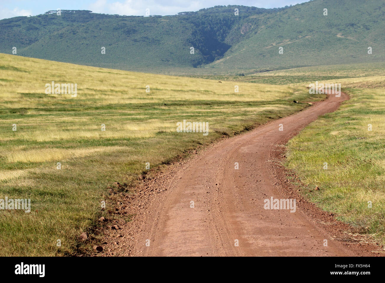 Infinite road circondato dal verde della terra. Ngorongoro Conservation Area, Tanzania Foto Stock