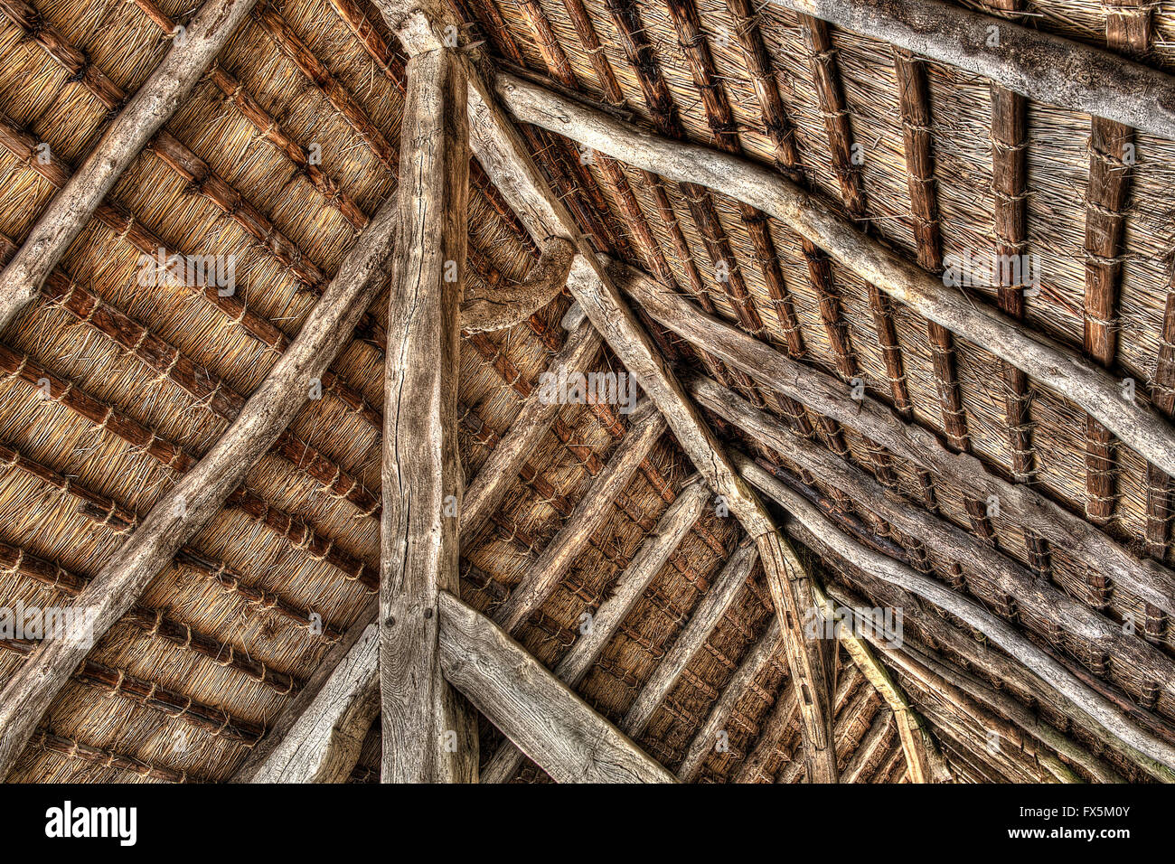 Il insite tetto di una vecchia fattoria scandinavo in HDR Foto Stock