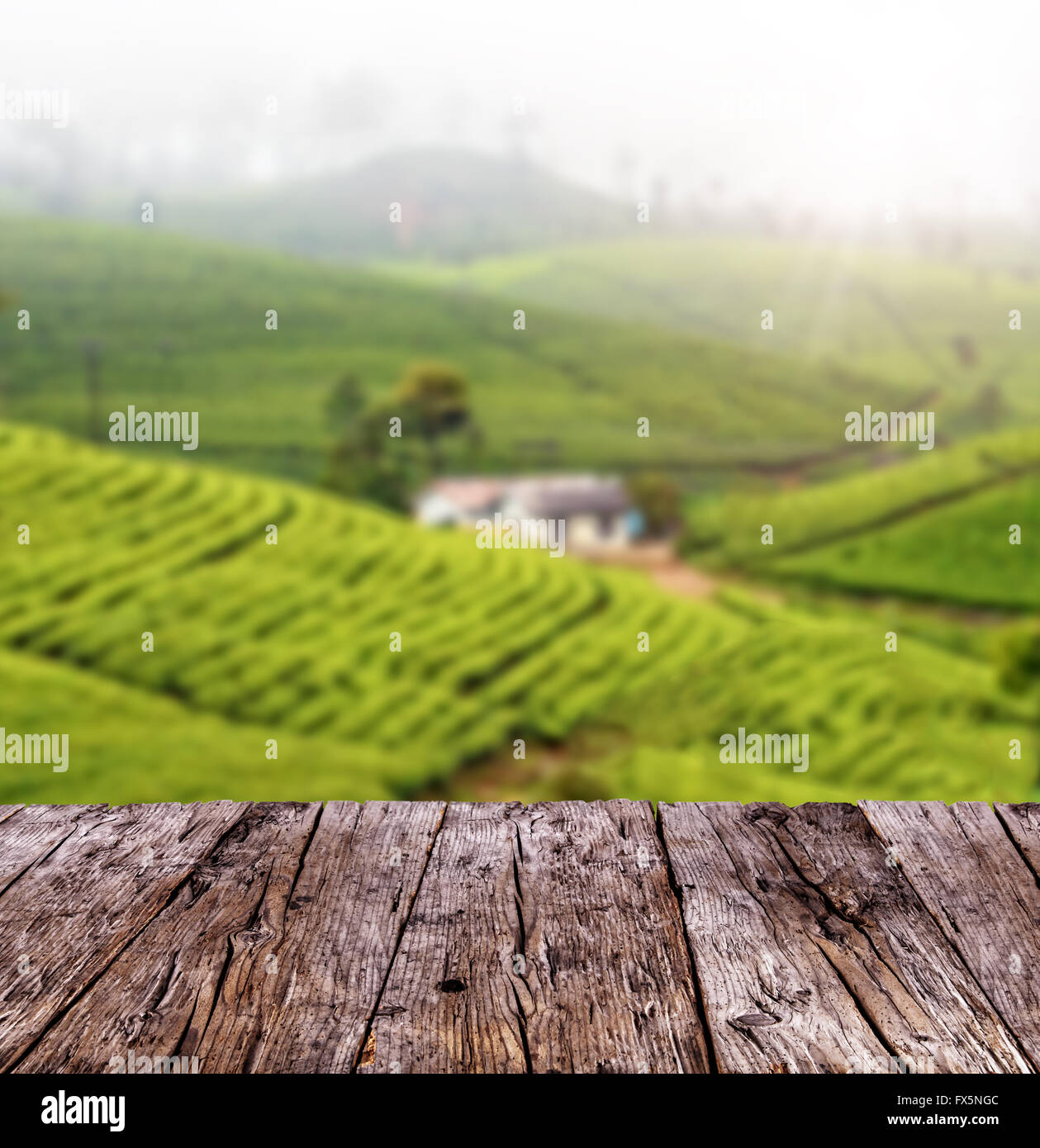 Svuotare tavole di legno con blur la piantagione di tè Foto Stock