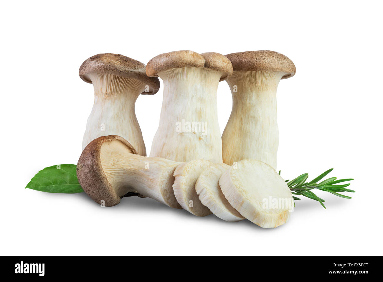 Re Oyster funghi tagliati a fettine per la cottura di isolati su sfondo bianco Foto Stock