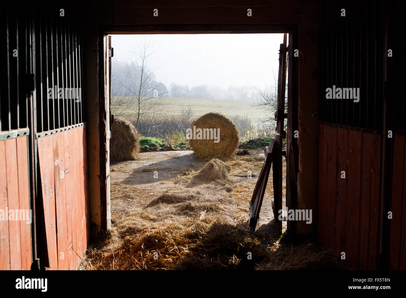Vista del paesaggio rurale attraverso la porta della stalla, tempo di autunno Foto Stock