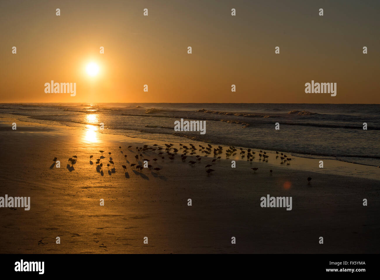 Rosso di nodi e di tramonto sull'Oceano Atlantico, Sunset Beach, Carolina del Nord Foto Stock