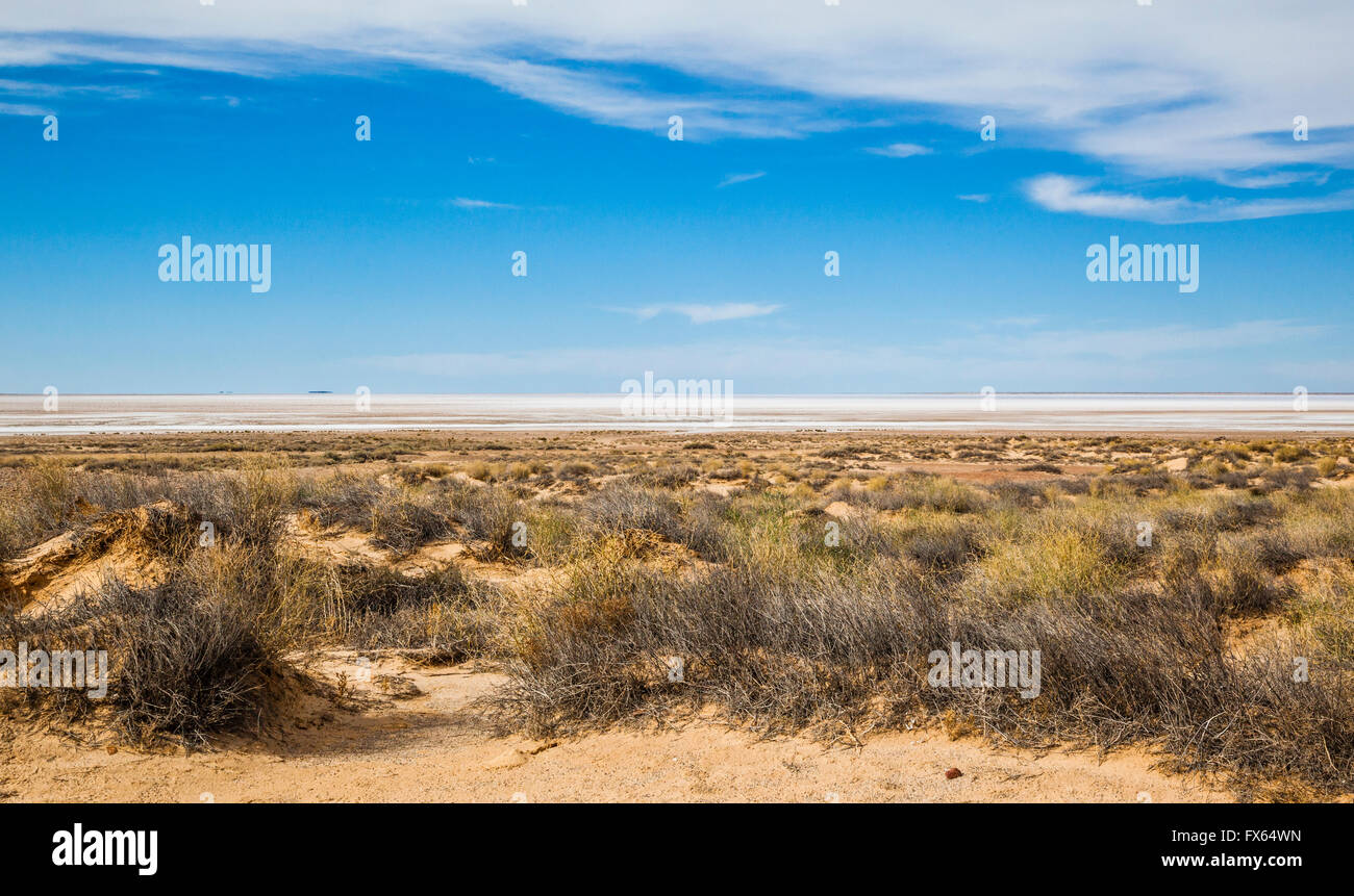 Lago Eyre Sud visto come un argento sulla linea di orizzonte dall'Oodnadatta Track, Sud Australia Foto Stock