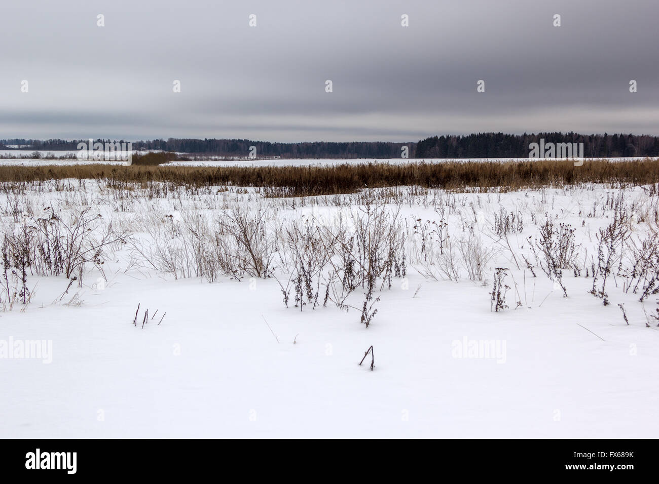 Coperte di neve campo sotto cupo cielo grigio Foto Stock