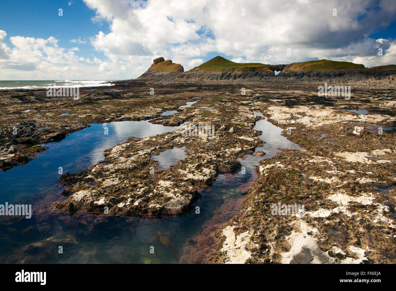 La bassa marea rock pool a vite senza fine la testa, Penisola di Gower, Galles Foto Stock