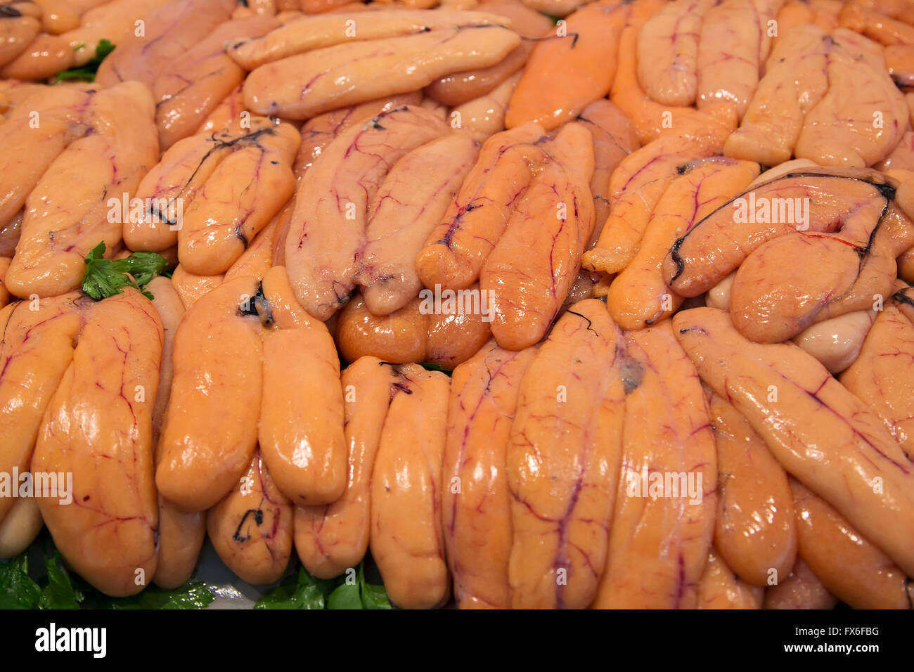 Uova di pesce. Centrale di mercato del pesce. La città di Cadice, Andalusia Spagna. Europa Foto Stock