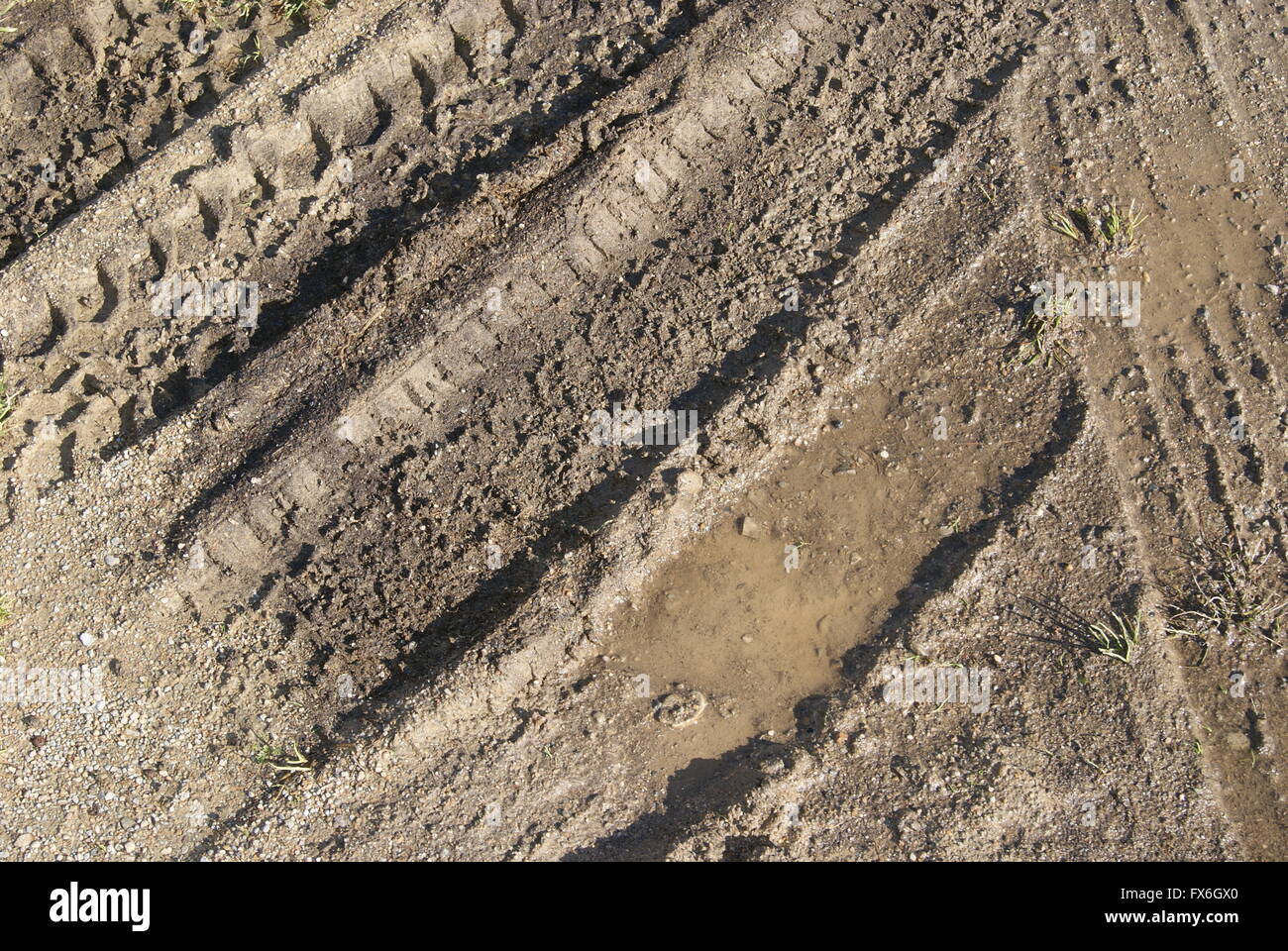 Tracce di pneumatici nel fango Foto Stock