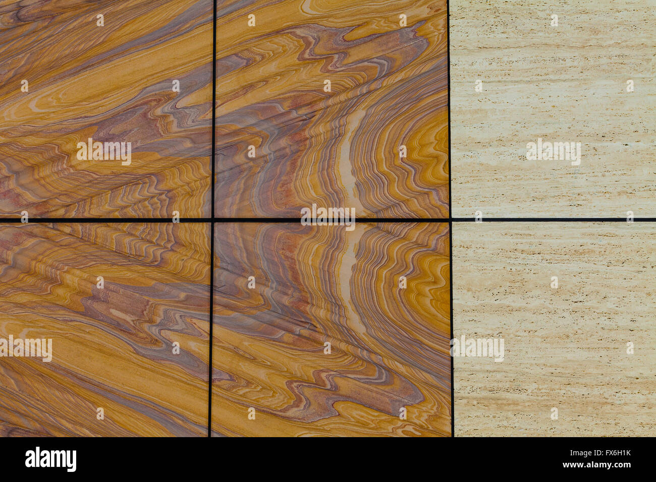 Decorativi in pietra levigata pannelli su una parete esterna di una Università Scienze della Terra costruzione Foto Stock