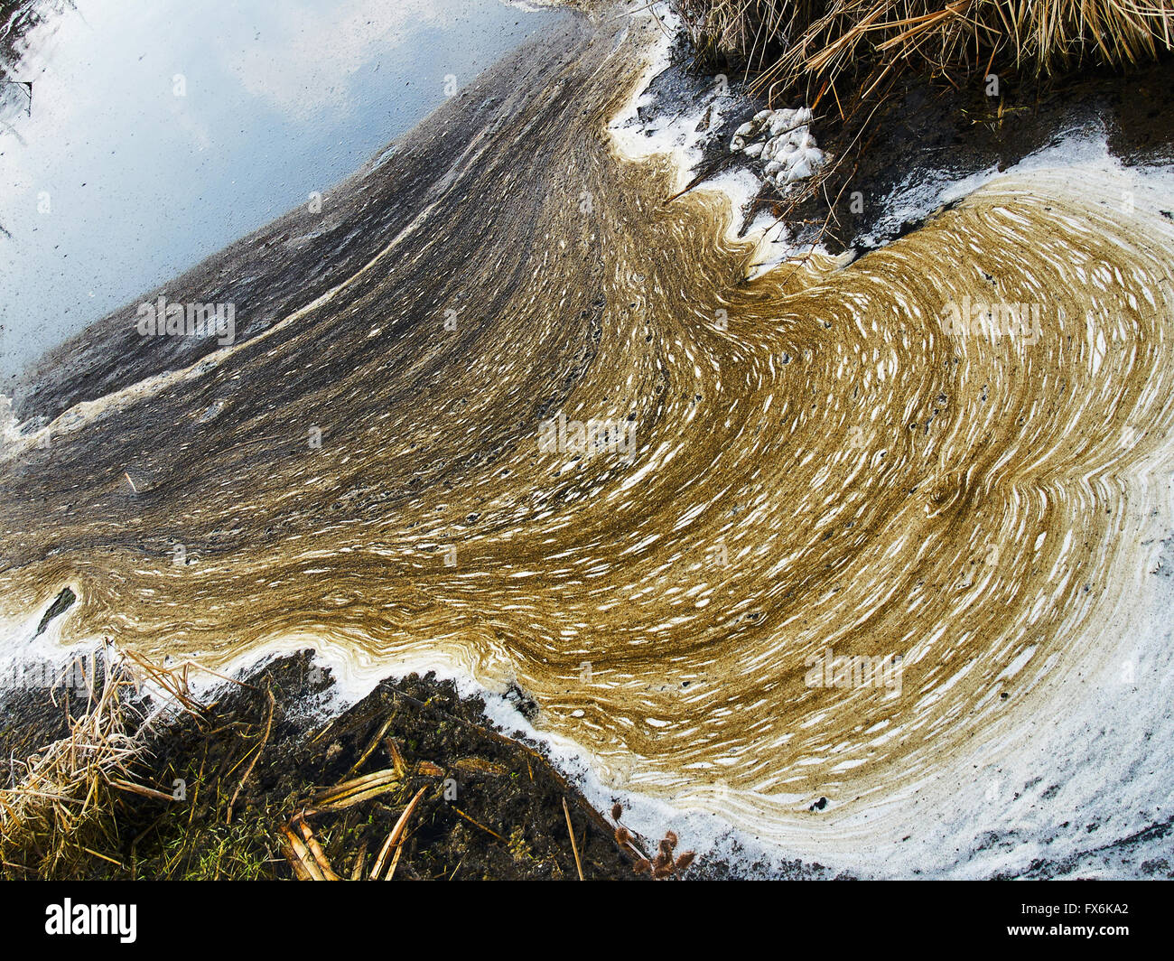 Acque alluvionali inquinate immagini e fotografie stock ad alta ...
