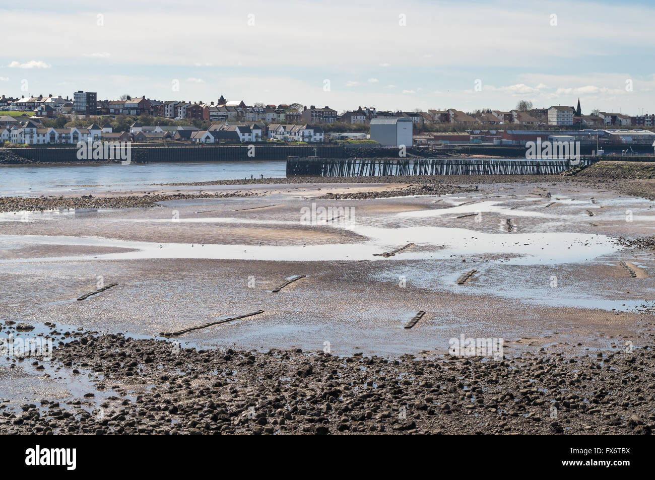 Righe di pneumatici per auto usate come trappole per la cattura di granchi, visto che con la bassa marea a North Shields, North East England, Regno Unito Foto Stock