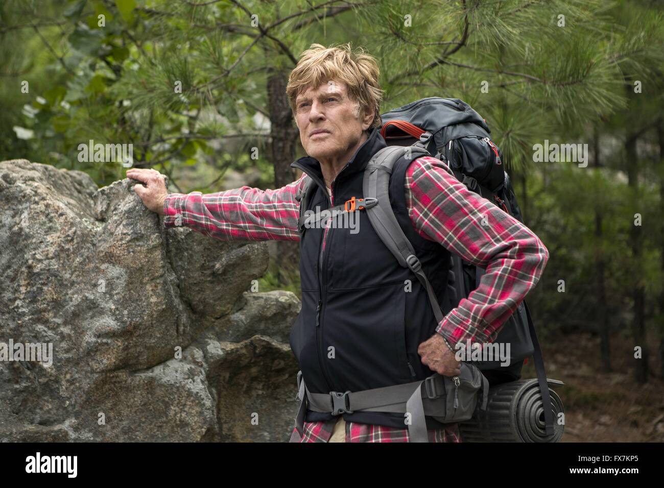 Una passeggiata nel bosco Anno : 2015 USA Direttore : Ken Kwapis Robert Redford Foto Stock
