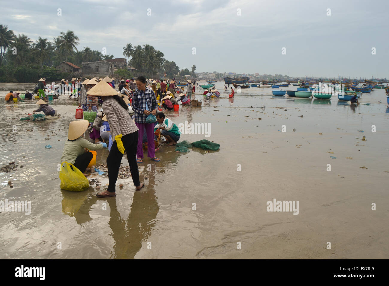 I pescatori vietnamiti ordina la loro cattura e vendono pesce sulla spiaggia, Vietnam Foto Stock