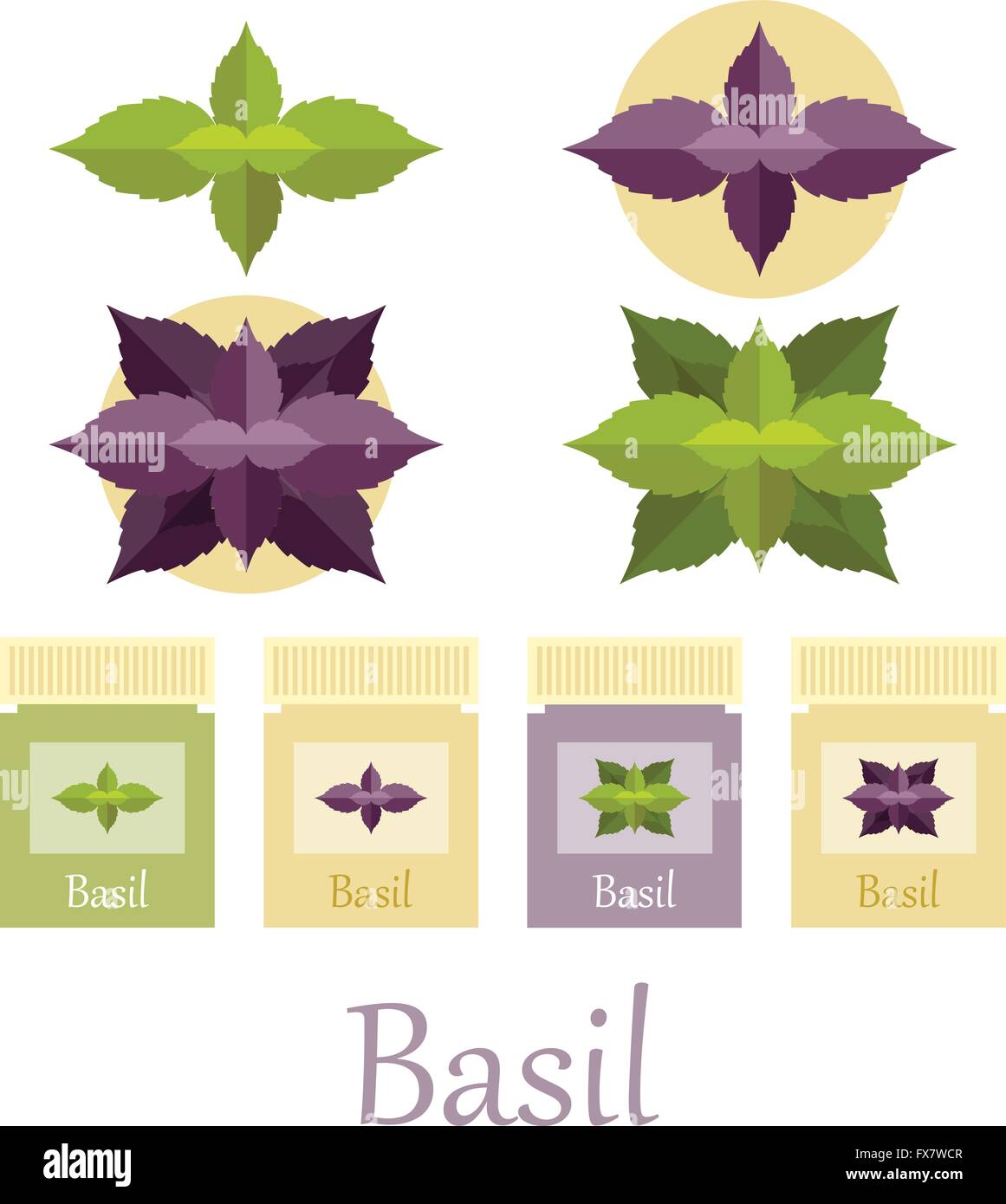 Set di icone di basilico Illustrazione Vettoriale