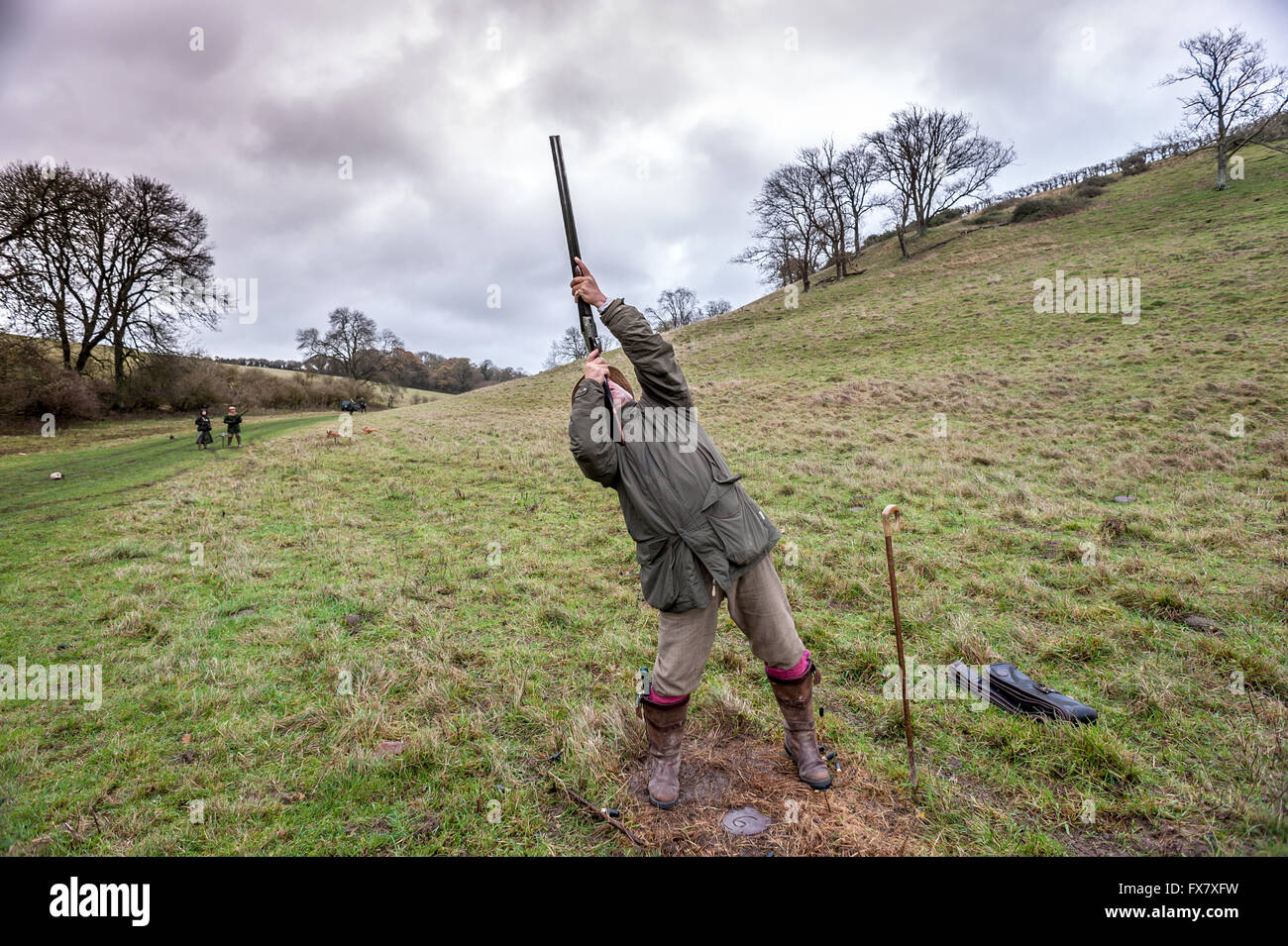 Fagiani e pernici sparare sul Angmering station wagon, vicino a Worthing, West Sussex. Foto Stock