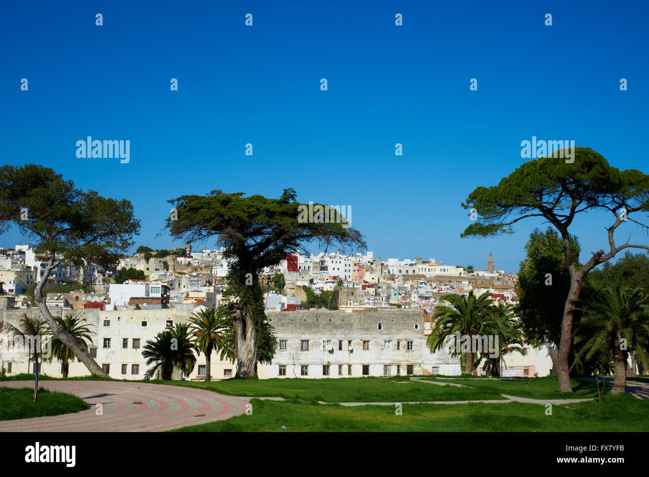Il Marocco, Tangeri, Medina, città vecchia, Mendoubia garden Foto Stock