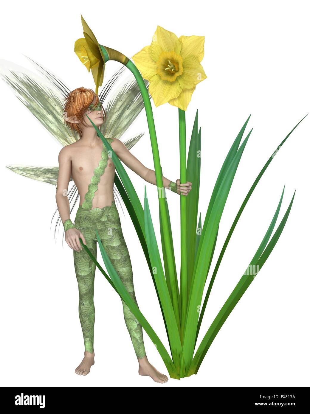 Daffodil Fairy Boy Foto Stock