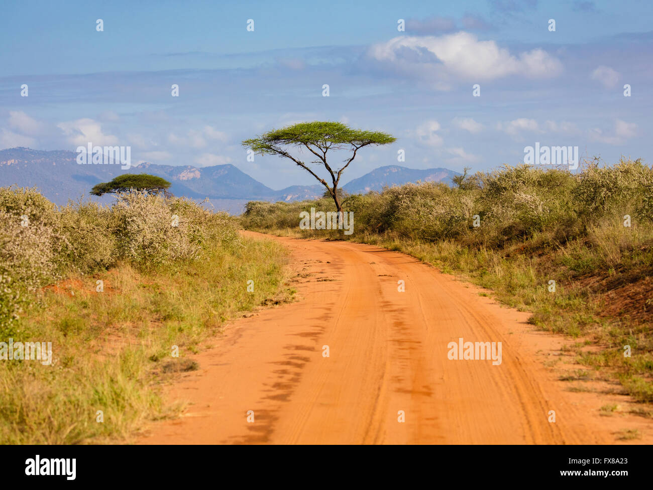 Strada sterrata rossa circondata da alberi di acacia nel parco nazionale di Tsavo nel Kenya meridionale con le colline di Taita in lontananza Foto Stock