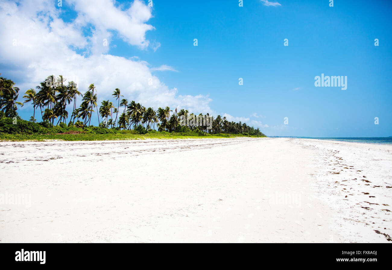 Polvere bianca spiaggia di sabbia orlate da palme di cocco dall'Oceano Indiano a Mchanga a Zanzibar Africa orientale Foto Stock