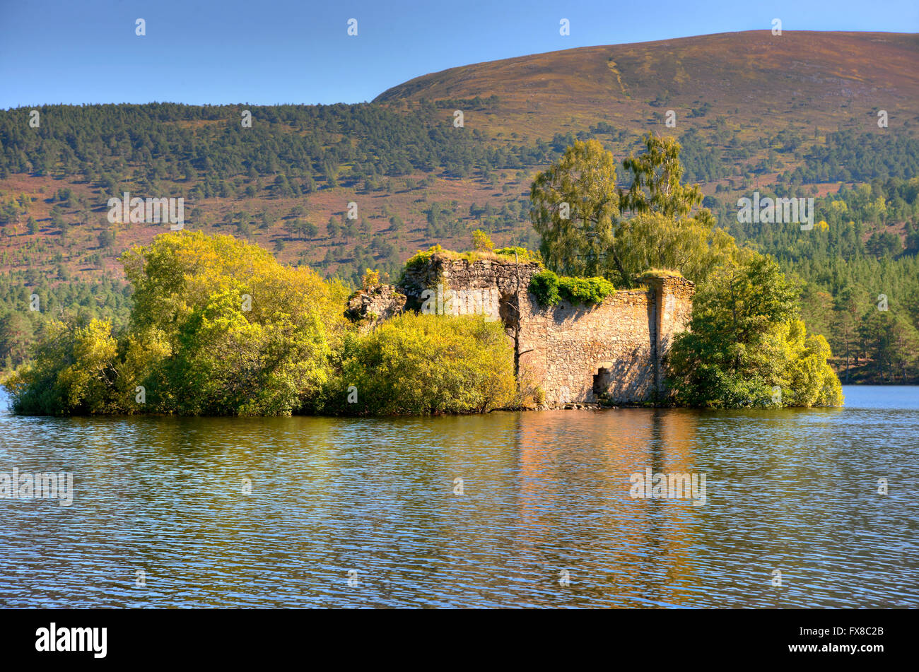 Rovina del castello ( Lupo di Badenoch) sul Loch un Eilein, Rothiemurchus, Cairngorms, Highlands Scozzesi. Foto Stock