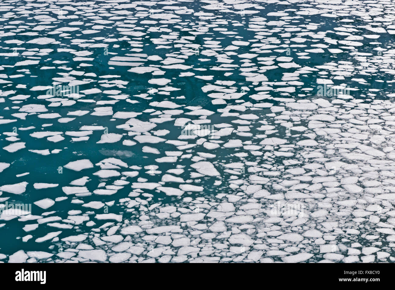 Vista del pancake del ghiaccio che si era formata durante la notte tra il re Edoardo Cove Foto Stock
