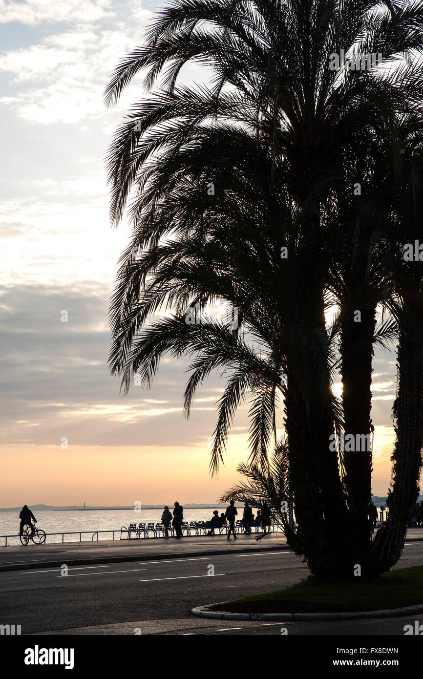 Nizza Promenade des Anglais, mostrando tramonto di sera con silhouette di palme, Francia Foto Stock